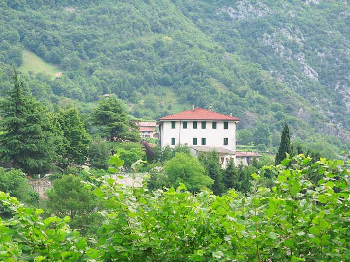 Struttura 1